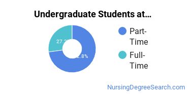  Full-Time vs. Part-Time Undergraduate Students at  BCC