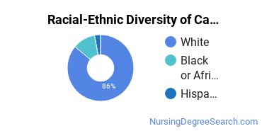 Racial-Ethnic Diversity of Cape Girardeau CTC Undergraduate Students
