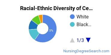 Racial-Ethnic Diversity of Central Penn Undergraduate Students
