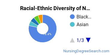 Racial-Ethnic Diversity of Nursing Majors at Herzing University - Atlanta