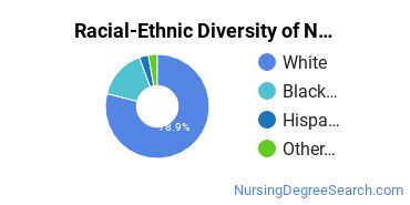 Racial-Ethnic Diversity of Nursing Education Majors at Indiana Wesleyan University - National & Global