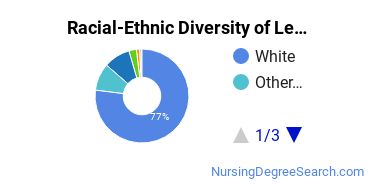 undergraduate ethnicity