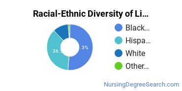 Racial-Ethnic Diversity of Lindsey Hopkins Technical College Undergraduate Students