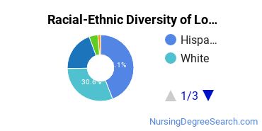 Racial-Ethnic Diversity of Lorenzo Walker Technical College Undergraduate Students