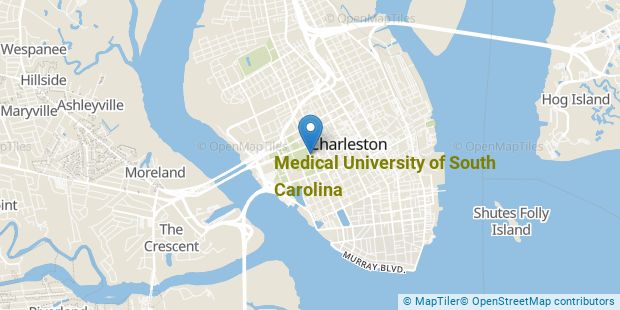 Medical University of South Carolina Nursing Majors - Nursing Degree Search