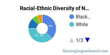Racial-Ethnic Diversity of Nursing Education Majors at Mercy College