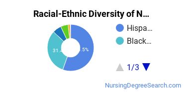 Racial-Ethnic Diversity of Nursing Majors at Miami Dade College