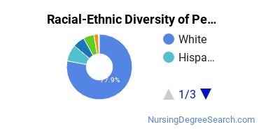 Racial-Ethnic Diversity of Pellissippi State Community College Undergraduate Students