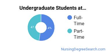  Full-Time vs. Part-Time Undergraduate Students at  UA Pulaski Tech