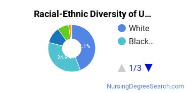 Racial-Ethnic Diversity of UA Pulaski Tech Undergraduate Students