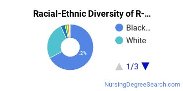 Racial-Ethnic Diversity of R-CCC Undergraduate Students