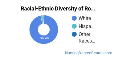 Racial-Ethnic Diversity of Rolla Technical Institute/Center Undergraduate Students