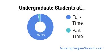  Full-Time vs. Part-Time Undergraduate Students at  Siena