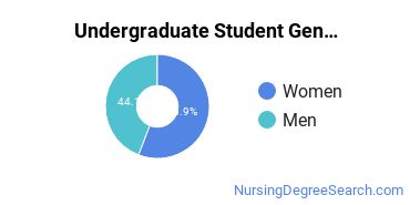 Undergraduate Student Gender Diversity at  Siena