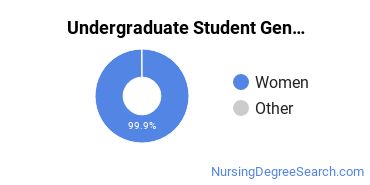 Undergraduate Student Gender Diversity at Simmons