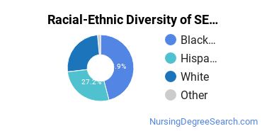 Racial-Ethnic Diversity of SEARK College Undergraduate Students