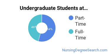 Full-Time vs. Part-Time Undergraduate Students at Stone Academy-West Haven