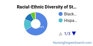 Racial-Ethnic Diversity of Stone Academy-West Haven Undergraduate Students