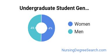 Undergraduate Student Gender Diversity at UC Clermont College
