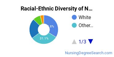 Racial-Ethnic Diversity of Nursing Education Majors at University of Phoenix - Arizona