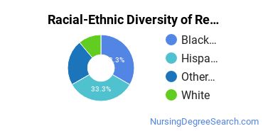 Racial-Ethnic Diversity of Registered Nursing Majors at University of Phoenix - Florida