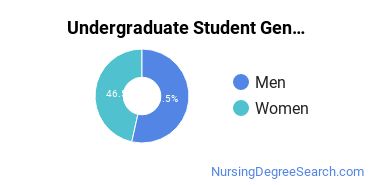 Undergraduate Student Gender Diversity at UOPX - Florida