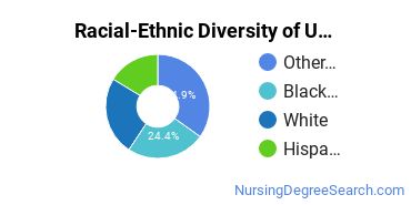 Racial-Ethnic Diversity of UOPX - Florida Undergraduate Students