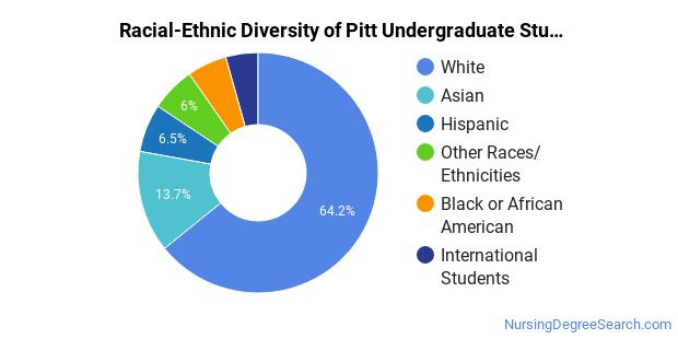 university-of-pittsburgh-pittsburgh-campus-nursing-majors-nursing