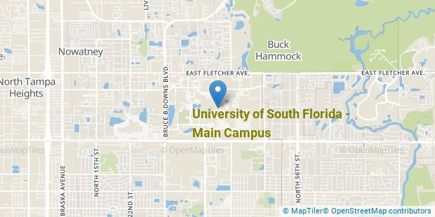 University of South Florida - Main Campus Nursing Majors - Nursing ...