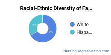 Racial-Ethnic Diversity of Family Practice Nursing Basic Certificate Students