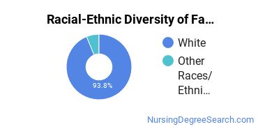 Racial-Ethnic Diversity of Family Practice Nursing Undergraduate Certificate Students