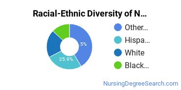 Racial-Ethnic Diversity of Nursing Administration Associate's Degree Students