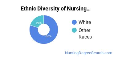 Nursing Assistants & Aides Majors in MT Ethnic Diversity Statistics