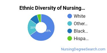 Nursing Assistants & Aides Majors in PA Ethnic Diversity Statistics