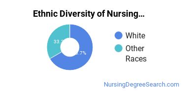 Nursing Assistants & Aides Majors in SD Ethnic Diversity Statistics