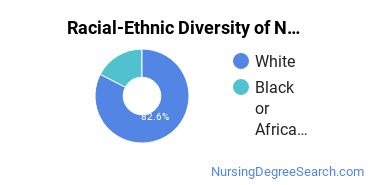 Racial-Ethnic Diversity of Nursing Education Students with Bachelor's Degrees