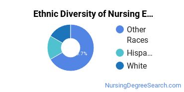 Nursing Education Majors in CA Ethnic Diversity Statistics