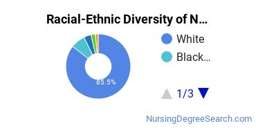 Racial-Ethnic Diversity of Nursing Education Doctor's Degree Students