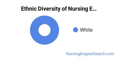 Nursing Education Majors in FL Ethnic Diversity Statistics