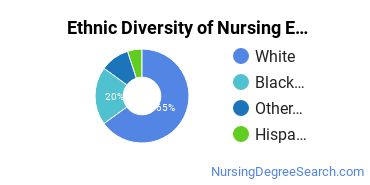Nursing Education Majors in GA Ethnic Diversity Statistics