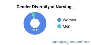 Nursing Education Majors in GA Gender Diversity Statistics