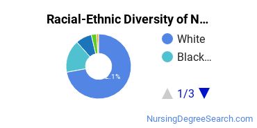 Racial-Ethnic Diversity of Nursing Education Graduate Certificate Students