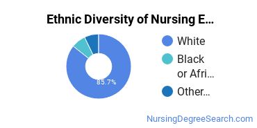 Nursing Education Majors in IA Ethnic Diversity Statistics
