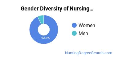 Nursing Education Majors in IA Gender Diversity Statistics