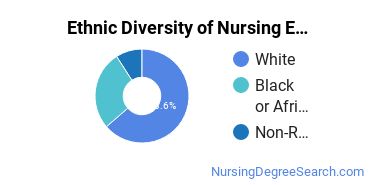 Nursing Education Majors in KS Ethnic Diversity Statistics