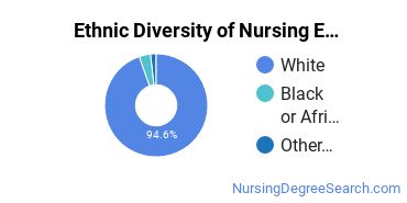 Nursing Education Majors in MA Ethnic Diversity Statistics