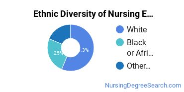 Nursing Education Majors in MI Ethnic Diversity Statistics