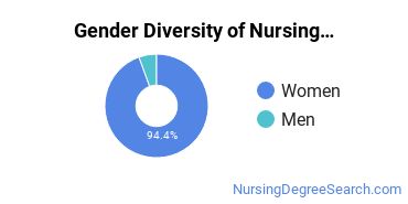 Nursing Education Majors in MI Gender Diversity Statistics