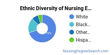 Nursing Education Majors in MN Ethnic Diversity Statistics
