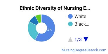 Nursing Education Majors in NY Ethnic Diversity Statistics